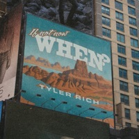Image of Tyler Rich linking to their artist page due to link from them being at the top of the main table on this page