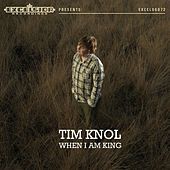 Thumbnail for the Tim Knol - When I Am King link, provided by host site