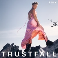 Thumbnail for the P!nk - When I Get There link, provided by host site