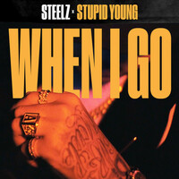 Thumbnail for the Steelz - When I Go link, provided by host site