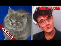 Thumbnail for the Wilbur Soot - When I SMILE the Video Ends (ULTIMATE YLYL) link, provided by host site