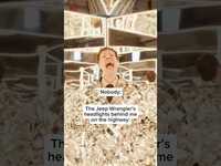 Thumbnail for the OK Go - When it's so bright you gotta turn your music down link, provided by host site