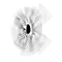 Thumbnail for the Calder - When the Organism Feels Safe link, provided by host site