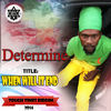 Thumbnail for the Determine - When Will It End link, provided by host site