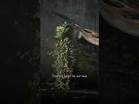 Thumbnail for the Muse - When you're lost in the darkness, look for the light. #muse #shorts link, provided by host site