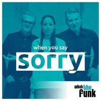 Thumbnail for the What The Funk - When You Say Sorry link, provided by host site