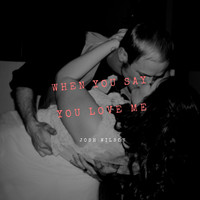 Thumbnail for the Josh Wilson - When You Say You Love Me link, provided by host site