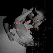 Thumbnail for the Josh Wilson - When You Say You Love Me link, provided by host site