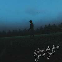 Thumbnail for the William Singe - Where Do Birds Go At Night? link, provided by host site