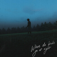 Thumbnail for the William Singe - Where Do Birds Go At Night? link, provided by host site