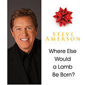 Thumbnail for the Steve Amerson - Where Else Would A Lamb Be Born? link, provided by host site