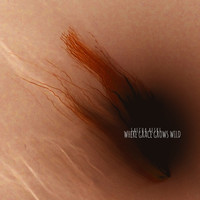 Thumbnail for the Sascha Reske - Where Grace Grows Wild link, provided by host site