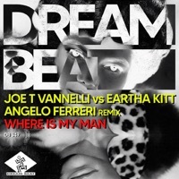 Thumbnail for the Joe T. Vannelli - Where Is My Man (Angelo Ferreri Remix) link, provided by host site