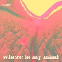 Thumbnail for the Sagi - Where Is My Mind link, provided by host site