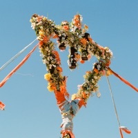 Thumbnail for the The Devil Wears Prada - Where the Flowers Never Grow link, provided by host site