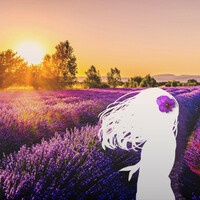 Thumbnail for the Spectre - Where the wind stands still link, provided by host site