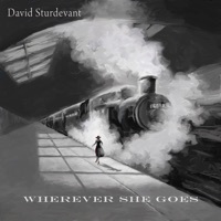 Thumbnail for the David Sturdevant - Wherever She Goes link, provided by host site