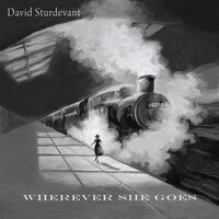 Thumbnail for the David Sturdevant - Wherever She Goes link, provided by host site