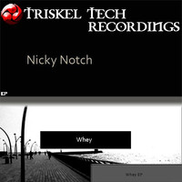 Image of Nicky Notch linking to their artist page due to link from them being at the top of the main table on this page