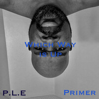 Thumbnail for the Primer - Which Way Is Up link, provided by host site
