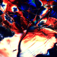 Thumbnail for the Clock Opera - Whippoorwill (NZCA/Lines Remix) link, provided by host site