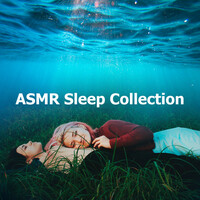 Thumbnail for the Sleep Sound Library - Whirring Reposeful link, provided by host site