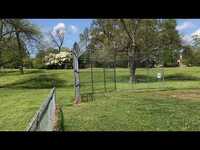 Thumbnail for the Ty Segall - & White Fence "JOY" Commercial link, provided by host site