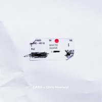 Thumbnail for the Cass - White Noise link, provided by host site