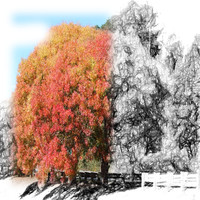 Thumbnail for the Best Relaxation Music - White Noise Collection - 50 Shades of Ambience (Loopable and without fade) link, provided by host site