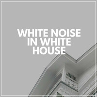 Thumbnail for the White Noise Relaxation for Sleeping Babies - White Noise in White House link, provided by host site