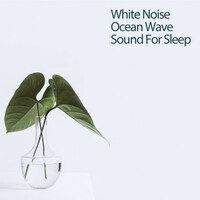 Thumbnail for the White Noise Therapy - White Noise Ocean Wave Sound For Sleep link, provided by host site