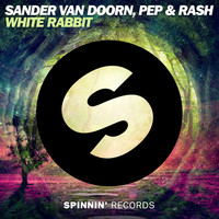 Thumbnail for the Sander van Doorn - White Rabbit link, provided by host site