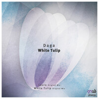 Thumbnail for the DAGA - White Tulip link, provided by host site