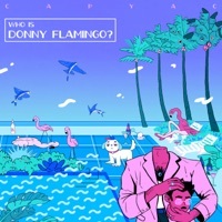 Thumbnail for the CAPYAC - Who is Donny Flamingo? link, provided by host site