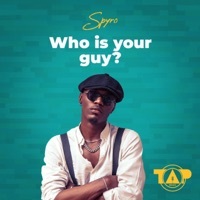 Thumbnail for the Spyro - Who Is Your Guy? link, provided by host site