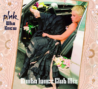 Thumbnail for the P!nk - Who Knew (Bimbo Jones Club Mix) link, provided by host site