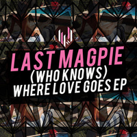 Thumbnail for the Last Magpie - (Who Knows) Where Love Goes link, provided by host site