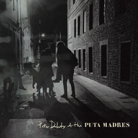 Thumbnail for the Peter Doherty - Who's Been Having You Over [Single Mix] link, provided by host site