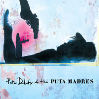 Thumbnail for the Peter Doherty - Who's Been Having You Over link, provided by host site