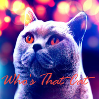 Thumbnail for the Oh Yeah - Who's That Cat link, provided by host site