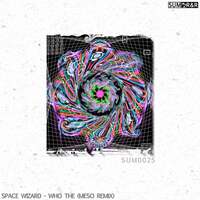 Thumbnail for the Space Wizard - Who The (MeSo Remix) link, provided by host site