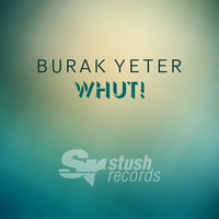 Image of Burak Yeter linking to their artist page due to link from them being at the top of the main table on this page