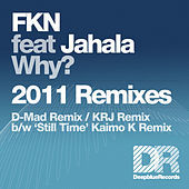 Thumbnail for the FKN - Why? - 2011 Remixes link, provided by host site