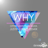 Thumbnail for the Offer Nissim - Why link, provided by host site
