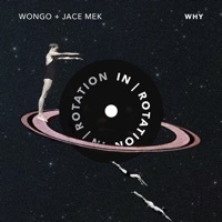 Thumbnail for the Wongo - Why link, provided by host site