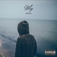 Image of Onyx linking to their artist page due to link from them being at the top of the main table on this page