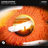 Thumbnail for the Lucas & Steve - Why Can't You See link, provided by host site