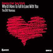 Thumbnail for the Dimension X - Why'd I Have to Fall in Love With You (The 2K17 Remixes) link, provided by host site