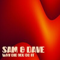 Thumbnail for the Sam and Dave - Why Did You Do It link, provided by host site