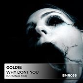 Thumbnail for the Goldie - Why Don't You link, provided by host site